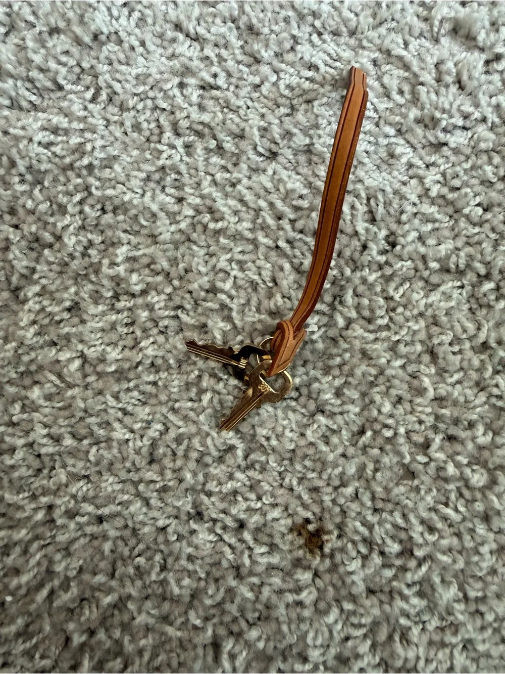 Louis Vuitton Brown Leather Key
